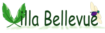 Villa Bellevue (Mont-Dore)